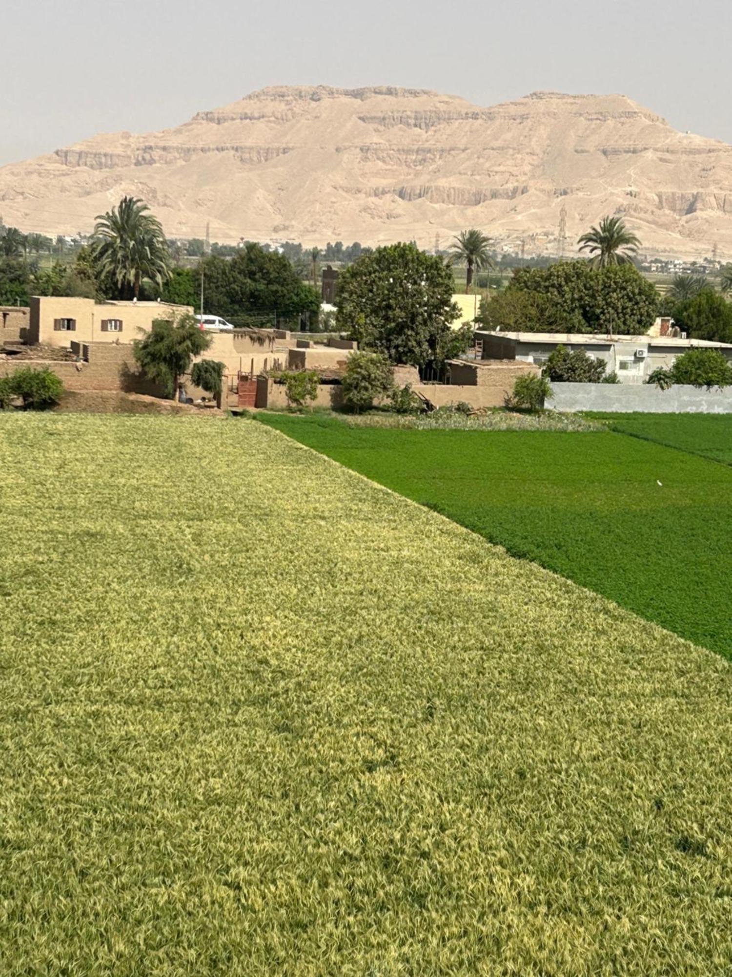 Lemon Tree Apartments Luxor Lel Agalta Exterior foto